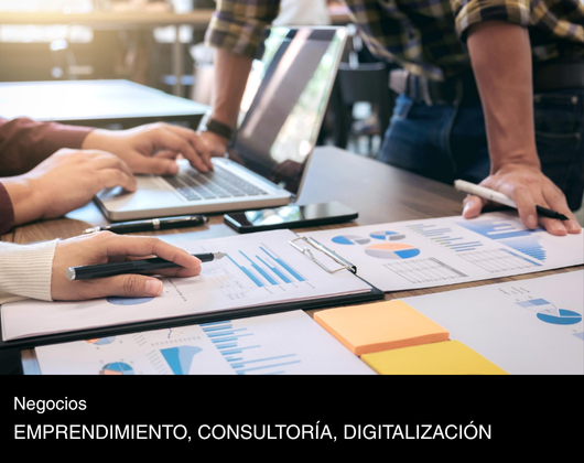 Consultoría de Negocios en Morelia